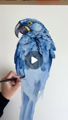 a person is painting a blue parrot on a white paper with a black marker and it's head turned to the side