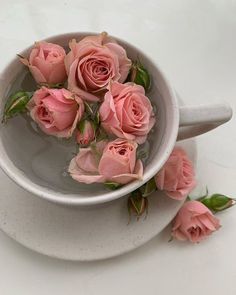 pink roses are floating in a white bowl