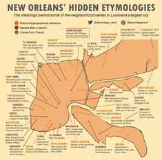 the new orleans'hidden etymologies map is shown in orange and brown