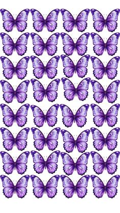 many purple butterflies on a white background