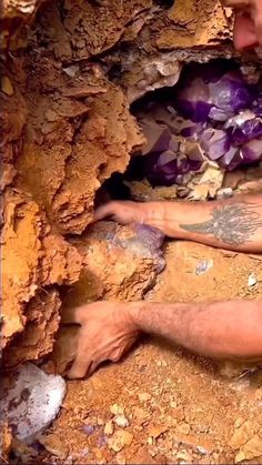 a man laying on the ground next to some rocks and dirt with purple flowers growing out of it