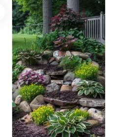 a garden filled with lots of different types of flowers and plants on top of rocks