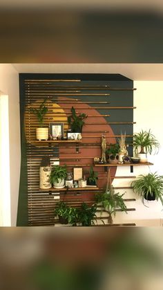 a living room filled with lots of plants and potted plants on top of shelves