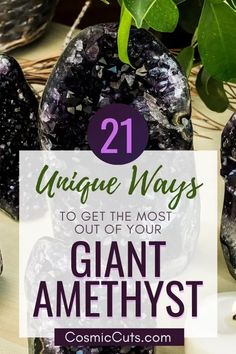 some rocks and plants with the text 21 unique ways to get the most out of your giant amethyst