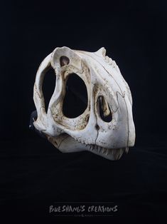 an animal's skull is shown against a black background