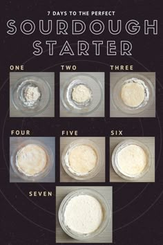 four different types of sourdough starter