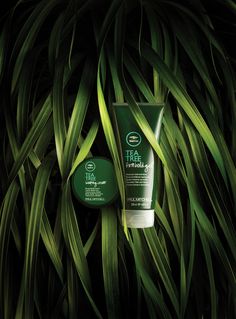 the body shop tea tree hand cream and foot balm in front of a heart - shaped plant