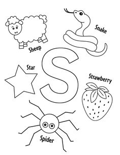 the letter s is for spider and other animals with their names in black and white