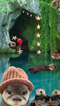 an otter wearing a hat and standing in front of a pond with stars hanging from the ceiling