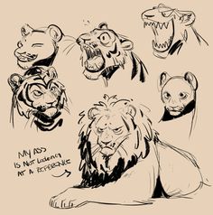 some sketches of different animals and their faces