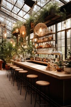 An image of a wooden bar inside of the greenhouse lounge, with barstools lining the bar. Greenhouse Lounge, Greenhouse Bar, Cafe Plants, Greenhouse Restaurant, Greek Taverna, Lounge Inspiration, Greenhouse Cafe, Sustainable Interior, Sustainable Interior Design