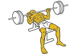 a man is doing squats on a bench with a barbell in his hand