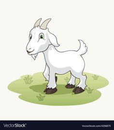 a goat standing in the grass on a white background