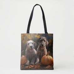 two dogs sitting next to each other with pumpkins