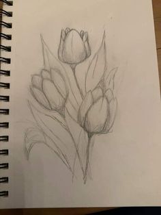 a drawing of some flowers on a piece of paper