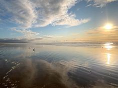 some birds are walking on the beach and water is reflecting them in the wet sand