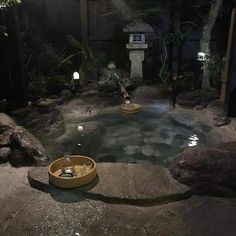 a small pool in the middle of a garden at night