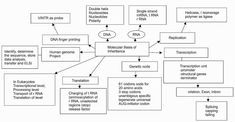 a flow diagram with several different types of medical devices and their corresponding functions in it