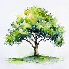 a watercolor painting of a tree with green leaves