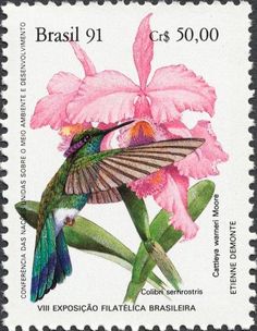 a postage stamp with a hummingbird and pink flowers