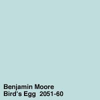 an image of a bird's egg with the words, benjamin moore bird's egg 2011 - 60