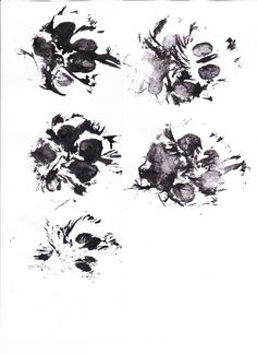 four black and white ink drawings of flowers