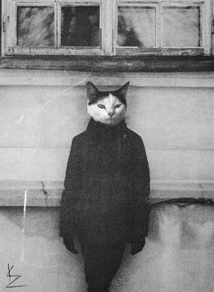 a black and white photo of a cat wearing a hoodie standing in front of a window