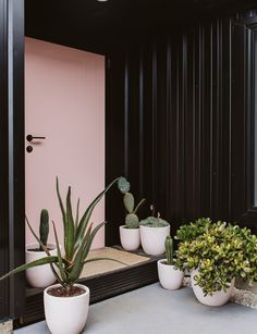 three potted plants sitting on the side of a pink wall next to a door