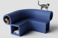 a cat is standing on top of a blue couch with a book shelf in the shape of a chair