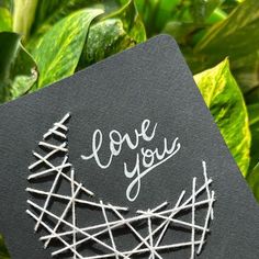 i love you written on a black piece of paper next to green plants and leaves