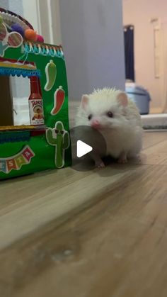 a small white rodent standing on top of a wooden floor next to a toy vending machine