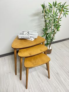 three wooden stools next to a potted plant on the floor in front of a white wall