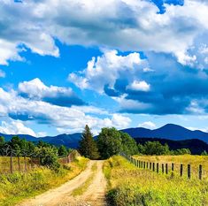 a dirt road in the middle of a grassy field with mountains in the back ground