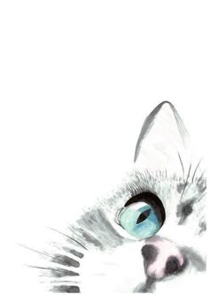 a drawing of a cat's face with blue eyes