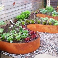 an assortment of plants are planted in large metal planters on the side of a house