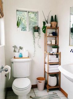 a white toilet sitting next to a bath tub in a bathroom under a window filled with plants