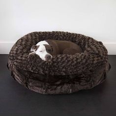 a brown and white dog laying on top of a pet bed in the middle of a room