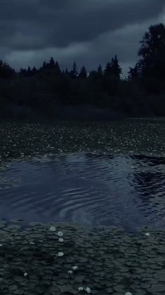 a body of water surrounded by trees under a cloudy sky with raindrops on it