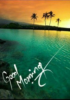 the words good morning are written in front of a lake with palm trees on it