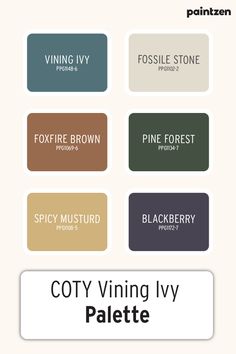 the color scheme for coty vinyl