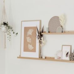 two wooden shelves with pictures and other items on them in a white walled room next to a potted plant