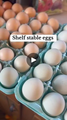 several trays of eggs sitting next to each other