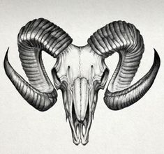 a ram skull with large horns on it's head is shown in black and white