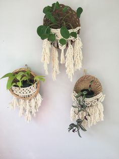 three baskets with plants in them hanging on the wall next to a plant pot holder