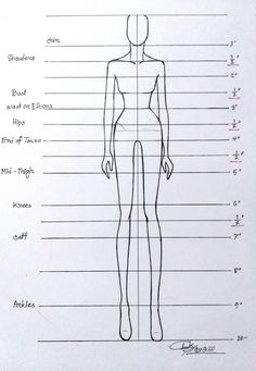 a drawing of a female mannequin with measurements for each part of the body