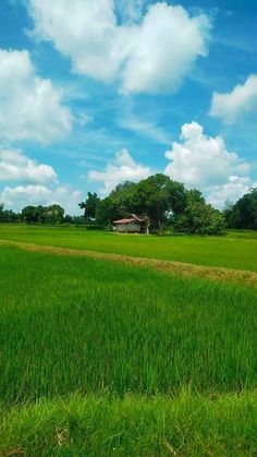 a green field with a house in the distance under a blue sky filled with clouds