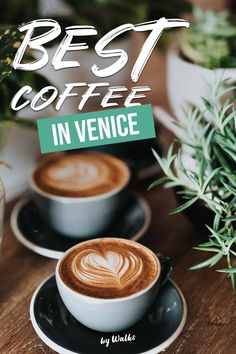 two cups of coffee with the words best coffee in venice on top and below it