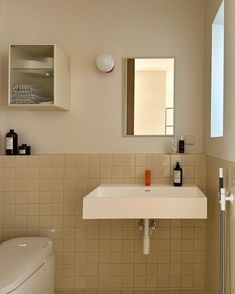 a white toilet sitting next to a bathroom sink under a mirror on a wall above it