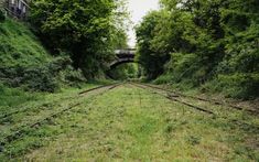 an abandoned train track in the middle of a wooded area