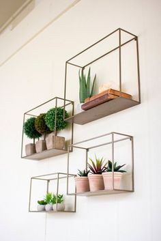 three metal shelves with plants and books hanging on the wall next to a white wall